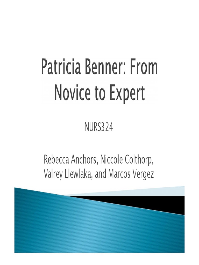 benner from novice to expert pdf7