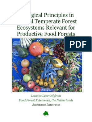 Food Forests in Temperate Climate - Anastasia Limareva | PDF | Forests |  Ecosystem