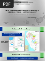 Analisis Cadena Causal (Ecosistemas)