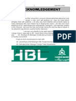 Recommended Internship Report HBL
