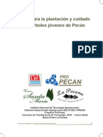 INTA Guia de Plantacion Pecan.pdf