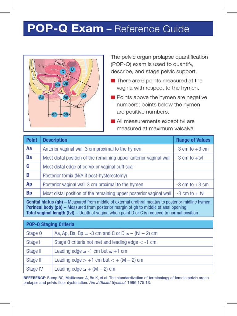 POP-Q Exam: Staging Prolapse | PDF | Teaching Methods & Materials ...