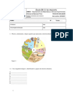 44522941 Teste 6º Ano Alimentacao