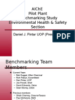 PP Benchmarking Survey - Safety