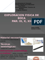 Exploracion Boca