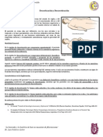 decorticacin y descerebracin