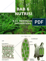 BAB 6.11 Mekanisme Fotosintesis