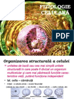 celula - fiziologie celulara.ppt
