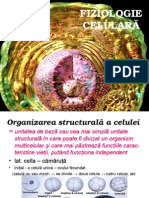 Celula - Fiziologie Celulara