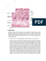 Histologi Kulit