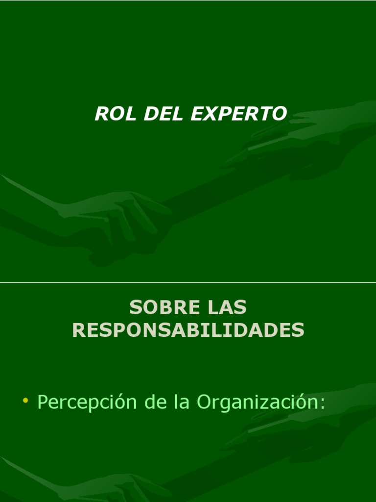 Rol del Experto en Prevención de Riesgos | PDF | Calidad (comercial ...