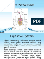 Sistem Pencernaan