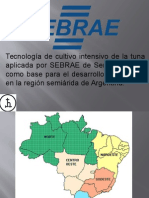 Tecnología de Cultivo Intensivo de La Tuna Aplicada Por SEBRAE de Sergipe, Brasil, Como Base Para El Desarrollo Sustentable en La Región Semiárida de Argentina