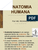 ANATOMIA HUMANA.ppt