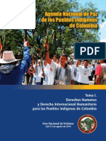 Agenda Nacional de Paz de Los Pueblos Indígenas de Colombia