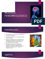 Modelo Fenomeologico 