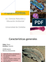 Clase Platyhelminthes