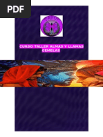 Curso Taller Almas y Llamas Gemelas Manual