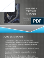 sinapsisytiposdesinapsis1-120517183317-phpapp01.pptx