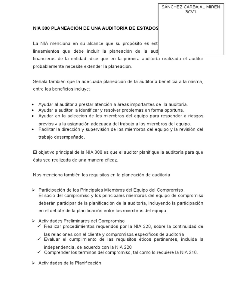 Nia 300 | PDF | Contralor | Auditoría financiera