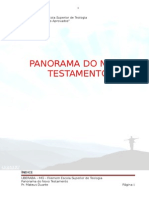 (03) Panorama Do Novo Testamento
