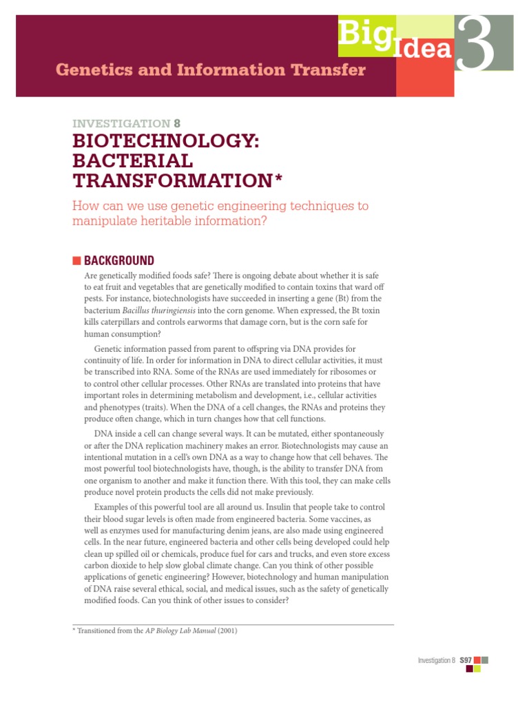 Bacterial Transformation in E. coli | PDF | Transformation (Genetics ...