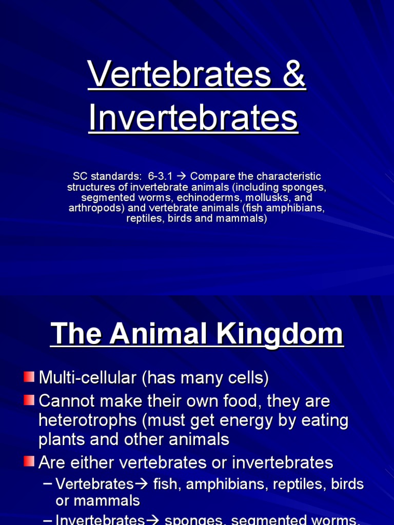 Vertebrates vs. Invertebrates Explained | PDF | Invertebrate | Amphibian
