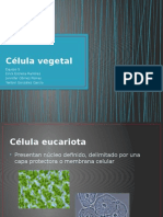 Celula Vegetal