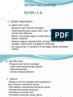 Perubahan Anatomi Dan Adaptasi Psikologi Ibu Hamil