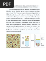 Apostila Separacao de Celulas