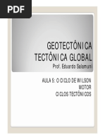 Tectônica Global