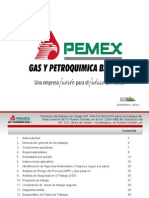 Protocolo Integraciã N Vs Gto 36 Pte Gde v02