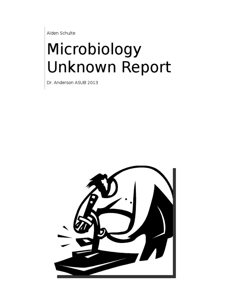 Unknown Bacteria Identification Report | PDF | Bacillus | Bacteria
