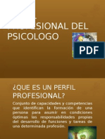 perfilprofesionaldelpsicologo-130429152505-phpapp02