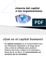 Capital Humano en Las Organizaciones