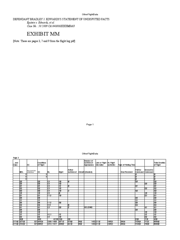 Jeffrey Epstein Flight Logs Other Flight Data(00)