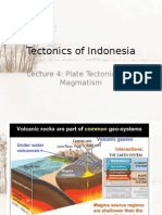 Tectonics of Indonesia: Lecture 4: Plate Tectonics and Magmatism
