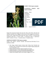 Download Rumput Teki by Irwanbrother SN261429795 doc pdf