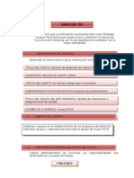 Analisis y Descripcion de Gerente de Desarrollo