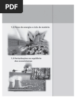 livro.fichas.parte2.fluxo.energia.ciclo.materia+perturbacoes