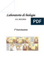 3a Esercitazione LE MACROMOLECOLE PDF