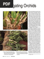Fragrant Orchids A Guide To Selecting Growing And