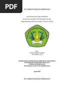 Download Krkb Isu Terkini Praktik Kebidanan by Friska Danastri SN261457429 doc pdf