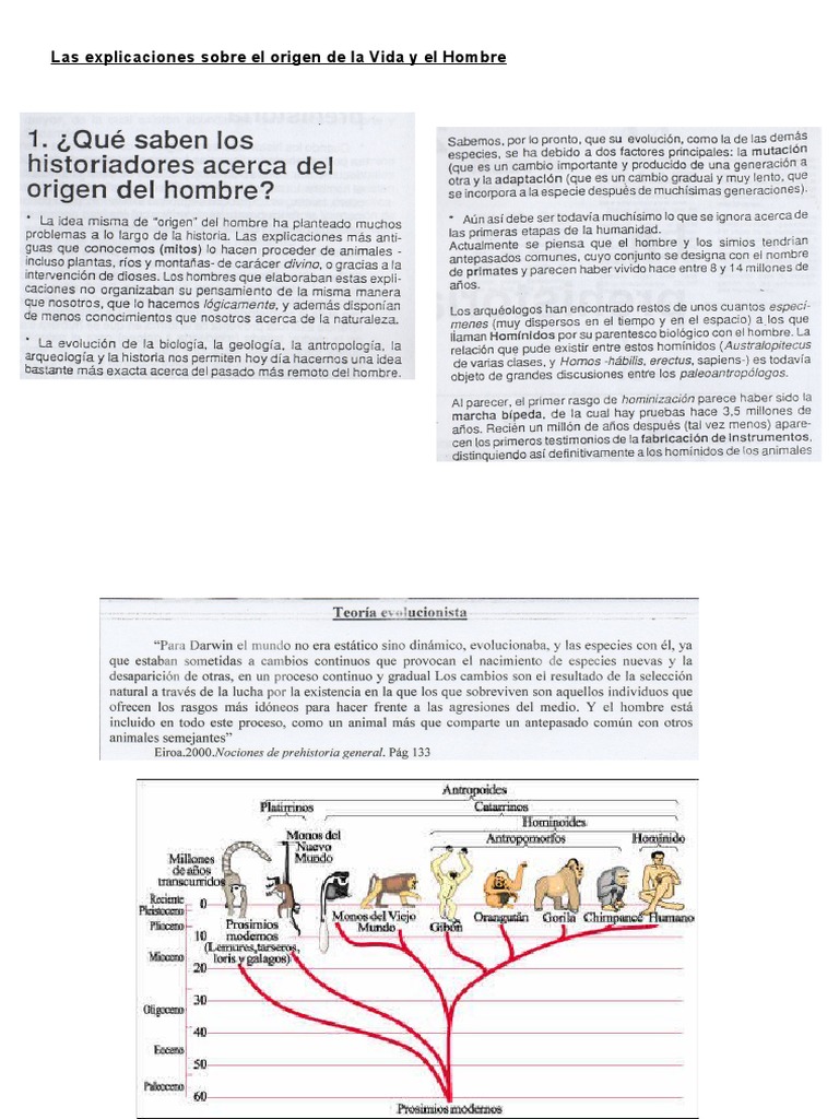 Origen de la Vida y Evolución Humana | PDF | Ciencias sociales ...