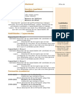 Curriculum Vitae Modelo4c Naranja