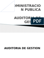 Auditoria de Gestion