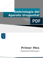 embriogenia del aparato urogenital.