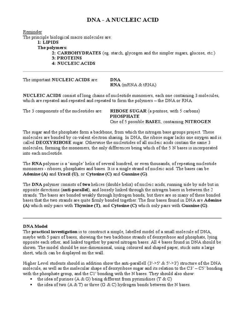 Dna paper model procedure image