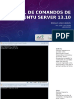 Terminal de Comandos en Linux Ubuntu Server 13.10