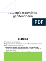 Patología Traumática Genitourinaria